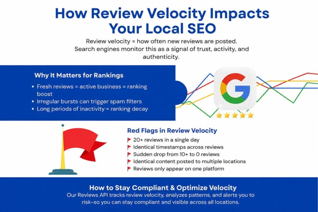 SEO Case Studies